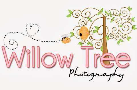 Photo: Willow Tree Photography Photo: Willow Tree Photography